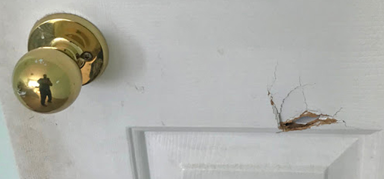 interior door hole repair Valle Vista